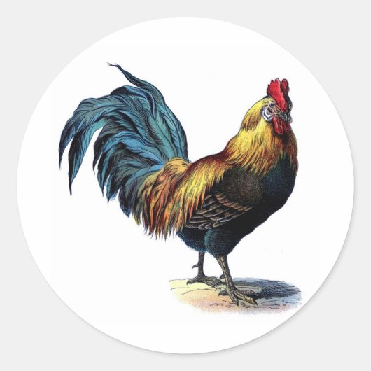 Antiek  Rooster-leder Ronde Sticker (Voorkant)