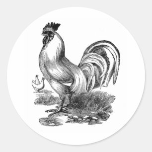 Antiek Rooster-leder Ronde Sticker