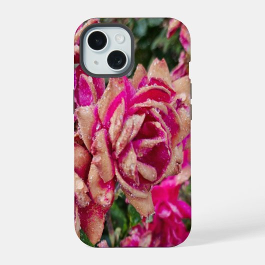 Antiek Rozen iPhone 15 Hoesje (Achterkant)