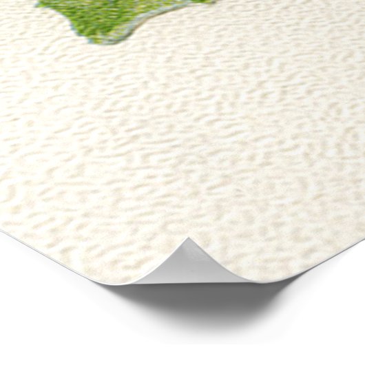 Antiek Rozen Poster (Hoek)