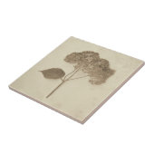 Antiek Sepia Hydrangea Land Floral Tegeltje (Zijkant)