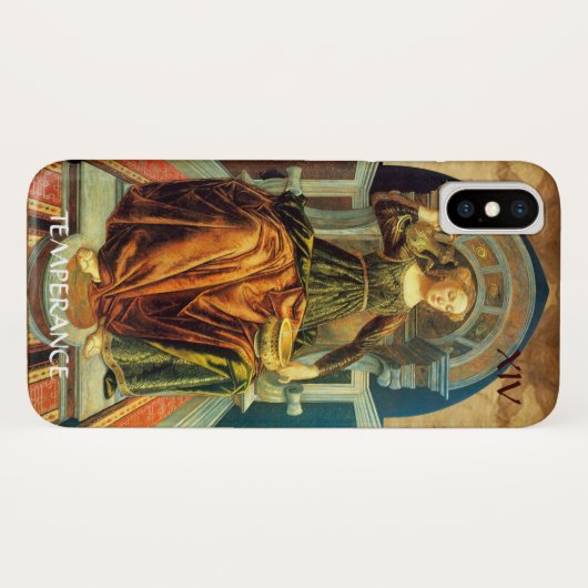 ANTIEK STREEFCIJFERS 14 / TEMPERANTIE Case-Mate iPhone CASE (Achterkant (horizontaal))