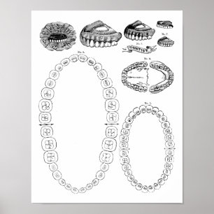 Antiek tandkaart Print Poster