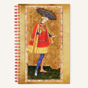 ANTIEK TAROTS PAGINA EN RIDDER VAN BEKERS NOTITIEBOEK