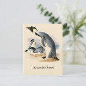 Antiek tekening Emperor Penguin Briefkaart (Staand voorkant)