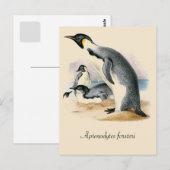 Antiek tekening Emperor Penguin Briefkaart (Voorkant / Achterkant)