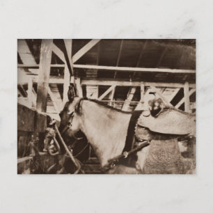 Antiek uitziende foto briefkaart