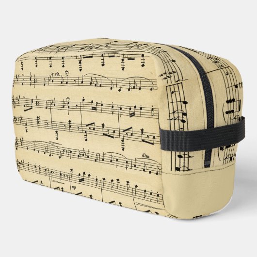 Antiek vel muziek toilettasje (Linkerhoek)