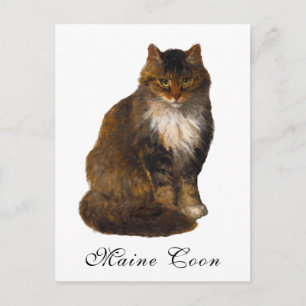 Antiek Victoriaans Maine Coon Cat Portrait Paintin Briefkaart