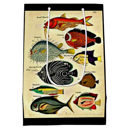 antiek visdruk medium cadeauzakje (Achterkant)