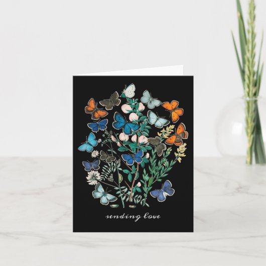 Antiek vlinders en motten Kleurrijk (Voorkant)