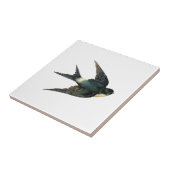 Antiek vogelreserveringsillustratie Tegeltje (Zijkant)