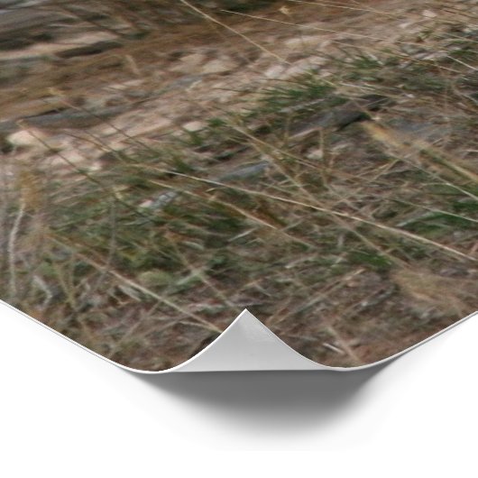 Antiek wagon poster (Hoek)