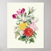 Antiek Waterverf Botanische afdruk Poster (Voorkant)