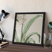 Antiek Waterverf Botanische afdruk Poster