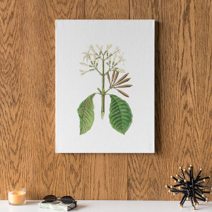 Antiek Waterverf Botanische afdruk Poster