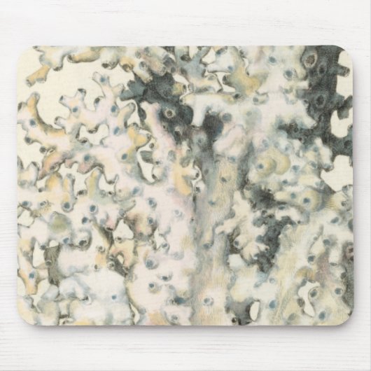 Antiek Waterverf Koraal Muismat (Voorkant)