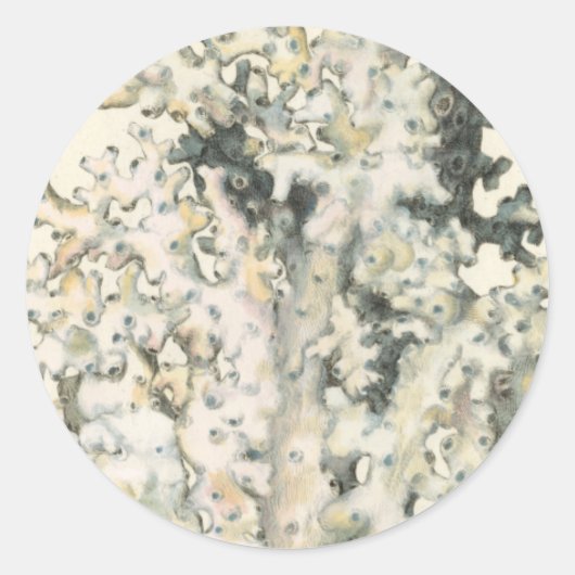 Antiek Waterverf Koraal Ronde Sticker (Voorkant)