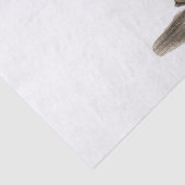 Antiek Wereldbol, Wit BG Tissuepapier (Detail)