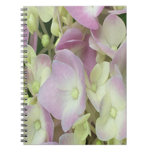 Antiek witte en droge roze hydrangea Petals Notitieboek