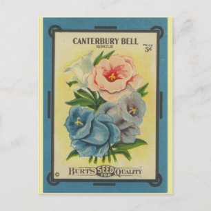 Antiek zaadpakket canterbury Bells Briefkaart
