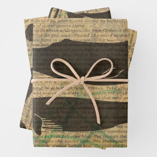 Antiek Zee op walvis Inpakpapier Vel (In situ)