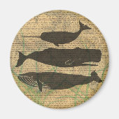 Antiek Zee op walvis Magneet (Voorkant)