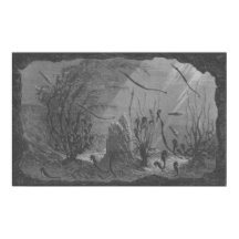 Antiek zeepaardjes in aquarium