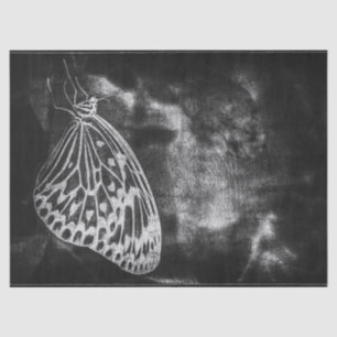  Antiek zwart-wit ontkleurd vlinder Tissuepapier