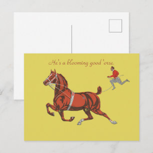 Antieke 1909 Kastanje Kleurig Paard Hardlopend Rod Briefkaart