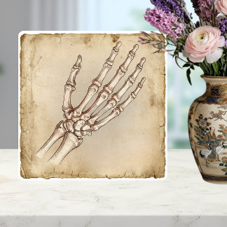 Antieke anatomische handbotten inkt tekening Sepia Tegeltje