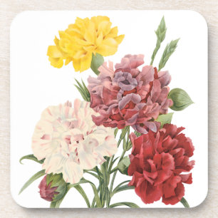 Antieke Anjers Dianthus Tuin Bloemen Redoute Onderzetter