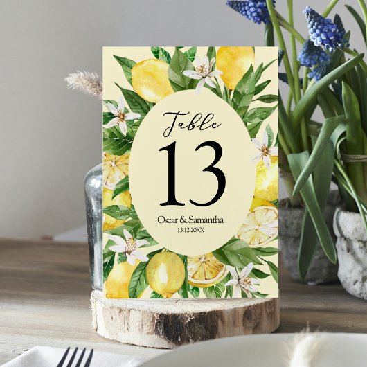 Antieke Aquarel Gele Citroenen Lijst Kaart