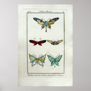 Antieke Art Nouveau Vlinder Sieraden door Morgan Poster