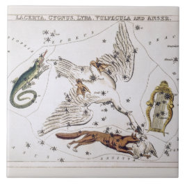 Antieke astronomische kaart van Lacerta, Cygnus, L Tegeltje