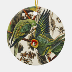 Antieke Audubon Carolina Parkiet Vogel Kunst Keramisch Ornament