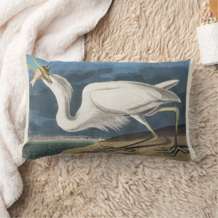 Antieke Audubon Grote Witte Reiger Vogel Kunst Kussen