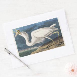 Antieke Audubon Grote Witte Reiger Vogel Kunst Rechthoekige Sticker