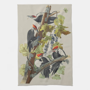 Antieke Audubon Kuifspecht Vogelkunst Theedoek