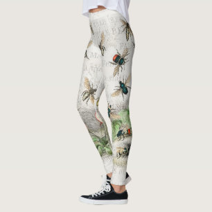 Antieke Bij Koningin Bij Entomologie Botanisch Leggings