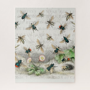 Antieke Bij Koningin Bij Entomologie Botanisch Legpuzzel