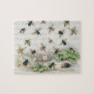 Antieke Bij Koningin Bij Entomologie Botanisch Legpuzzel