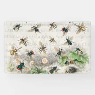 Antieke Bij Koningin Bij Entomologie Botanisch Spandoek