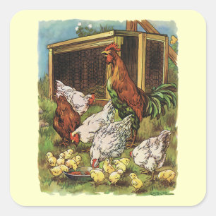 Antieke boerderijdieren, Haan, Kippen, Kuikens Vierkante Sticker