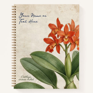 Antieke Botanische Cattleya Cernua Orchidee Bloem Notitieboek