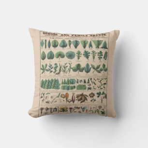 Antieke Botanische Schoolkaart Vintage Natuur Kussen