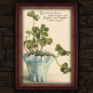 Antieke botanische wandposter uit 1905 poster