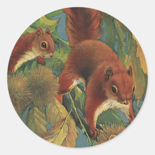 Antieke eekhoorns, bosdieren, wilde dieren ronde sticker