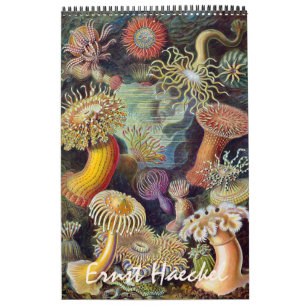 Antieke Ernst Haeckel, Biologie, Plantkunde, Weten Kalender