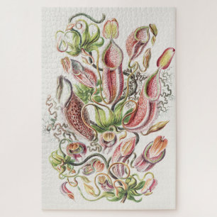 Antieke Ernst Haeckel Botanische Pitcher Plant Legpuzzel